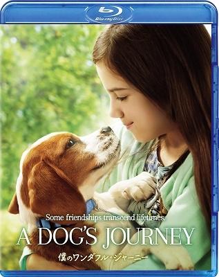 Quaid, Dennis - A Dog's Journey