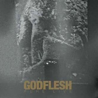 Godflesh - Pure : Live