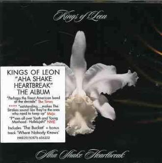 Kings of Leon - Aha Shake Heartbreak