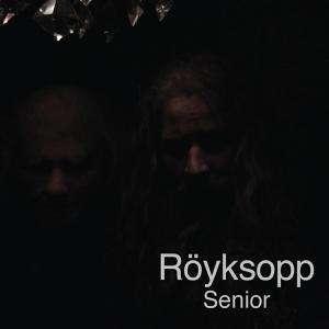 ROYKSOPP - SENIOR ORANGE LTD.